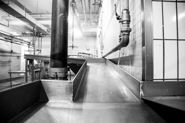 2014 02 19 Abattoir LuxeuilIMG 8708